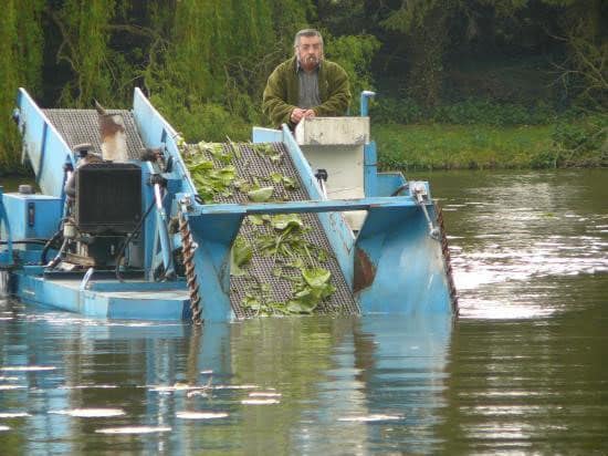 Les travaux de curage d’étang et de suppression de la végétation Les travaux de curage d'étang et de suppression de la végétation