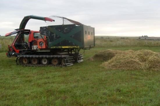 Faucardage d’étang : fauchage de roseaux