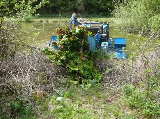 Faucardage d’étang avec ramassage