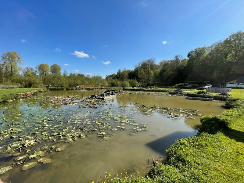 Curage d’étang : suppression de nénuphars
